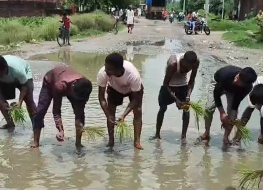 जर्जर सड़क पर भरे पानी में ग्रामीणों ने की धान की रोपाई