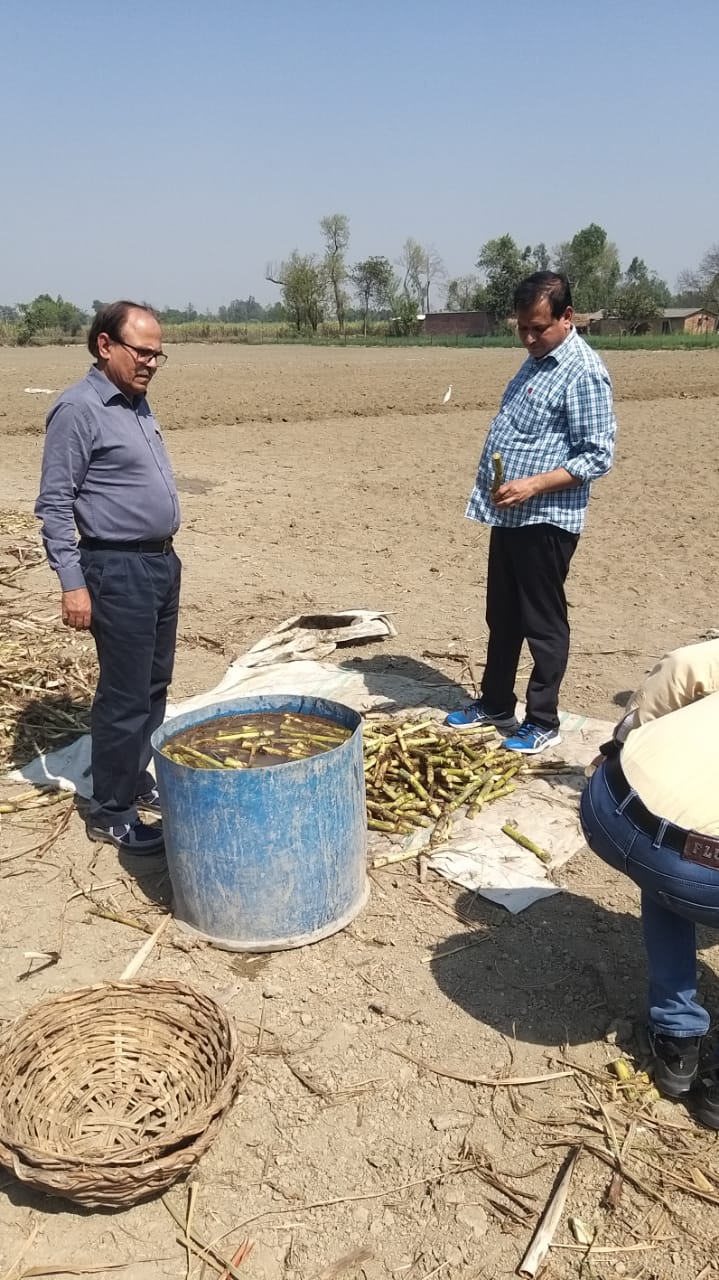 रौज़ागाँव चीनी मिल ने किया दिनांक 24 फरवरी 2023 तक का गन्ना मूल्य भुगतान