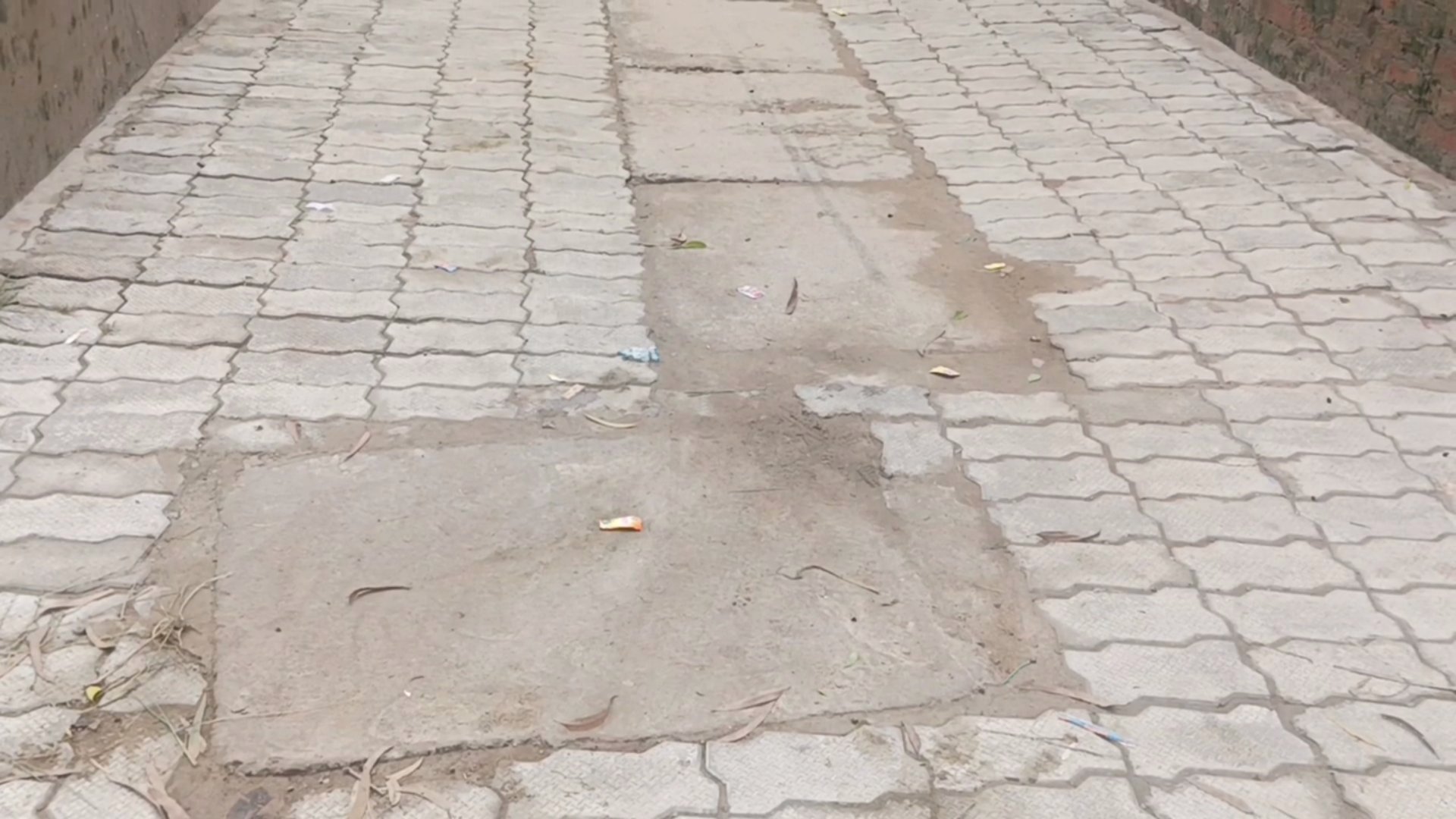 ममरेज नगर गांव में हुई इंटरलाकिंग में घटिया सामग्री लगाए जाने की शिकायत, जांच कराने की मांग
