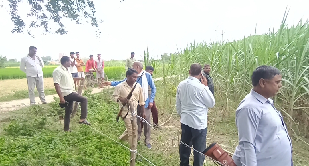 रुदौली: मुजफ्फरपुर ग्राम पंचायत में तेंदुए के मौजूद होने की खबर से क्षेत्र वासीयो में भय का माहौल