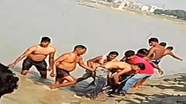 प्रयागराज में बड़ा हादसा, गंगा में डूबे पांच युवक - एक को बचाने में गई सबकी जान