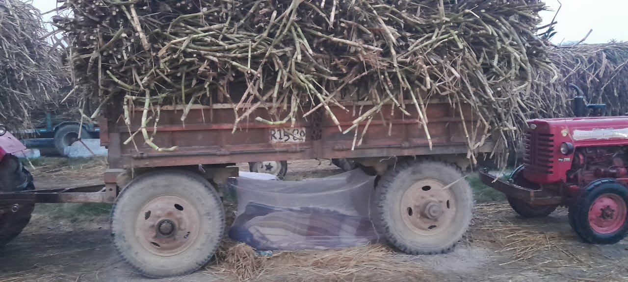 सम्पूर्ण समाधान दिवस में भारतीय किसान यूनियन ने दिया आठ सूत्रीय ज्ञापन 