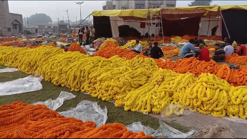पीएम मोदी के स्वागत में थाईलैंड से मंगाए गए फूल