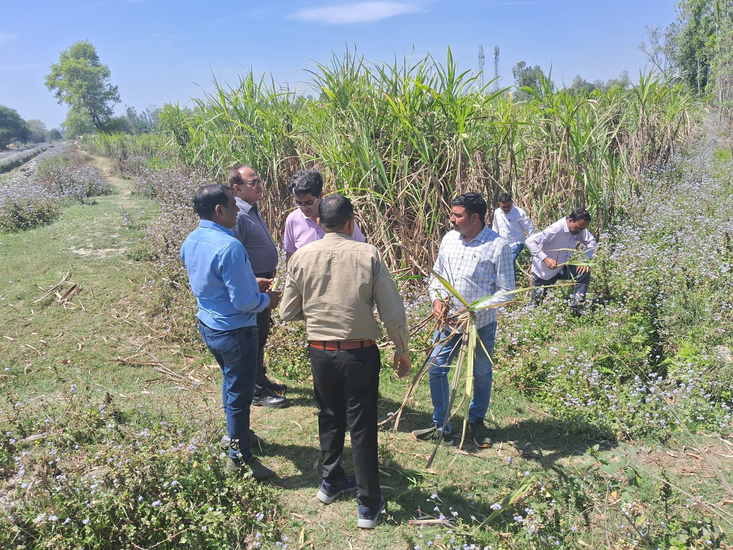 रौज़ागाँव चीनी मिल ने किया दिनांक 11 मार्च 2025 तक का गन्ना मूल्य भुगतान